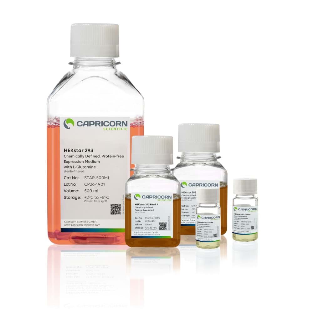 HEKstar expression kit 293 capricorn scientific